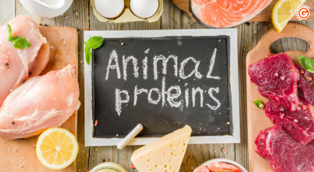 Animal Protein - Pea Protein