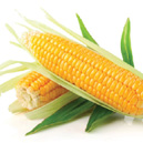 vplus-info-water soluble fibre