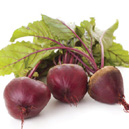 vplus-info-beetroot