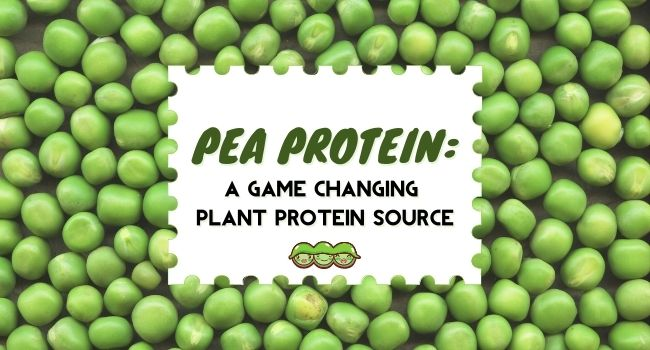 PEA PROTEIN: A GAME CHANGING PLANT PROTEIN SOURCE
