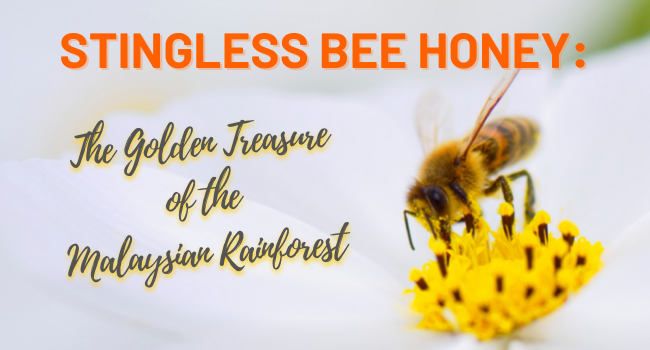 Stingless Bee Honey - The Golden Treasure of the Malaysian Rainforest