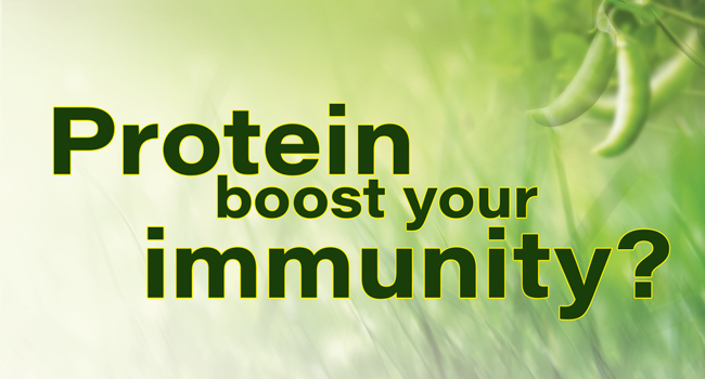 Protein boost your immunity?